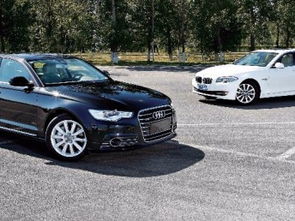 圖 南山婚慶租車 南山汽車租賃公司 南山婚禮用車 深圳婚慶 慶典