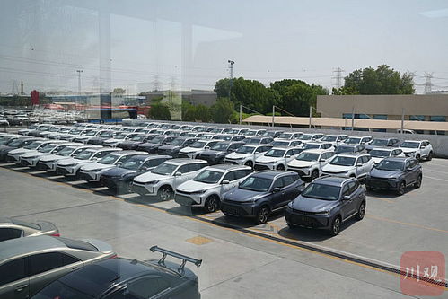 絲路花正開 阿聯酋丨四川整車闖中東汽車租賃市場